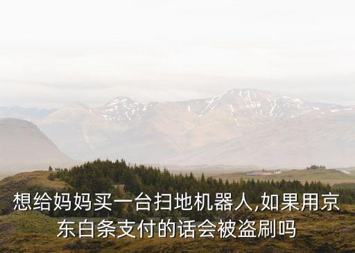 想給媽媽買一臺掃地機(jī)器人,如果用京東白條支付的話會被盜刷嗎