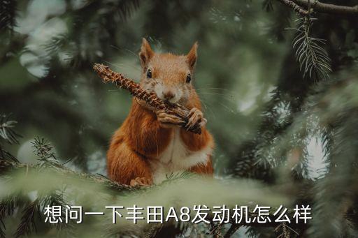 想問一下豐田A8發(fā)動(dòng)機(jī)怎么樣