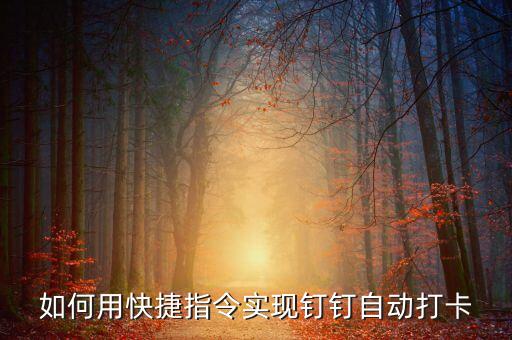 丁丁自動(dòng)化設(shè)備,辦公自動(dòng)化軟件有哪些?