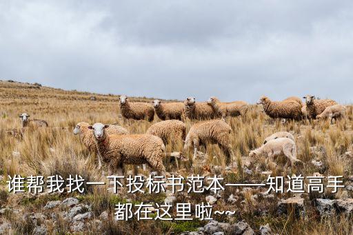 自動(dòng)化設(shè)備投標(biāo)標(biāo)書(shū)范本,機(jī)床設(shè)備投標(biāo)文書(shū)格式標(biāo)本公布