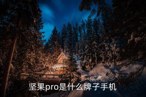 堅(jiān)果pro是什么牌子手機(jī)
