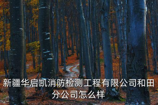 新疆華啟凱消防檢測工程有限公司和田分公司怎么樣