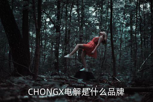 CHONGX電解是什么品牌