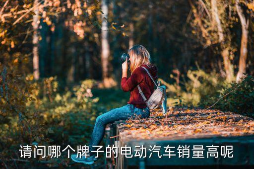請(qǐng)問(wèn)哪個(gè)牌子的電動(dòng)汽車(chē)銷量高呢