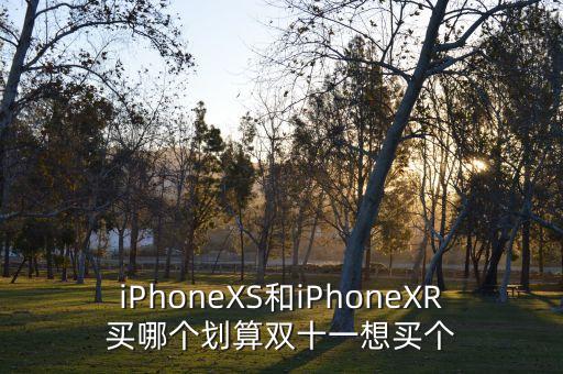 iPhoneXS和iPhoneXR買哪個(gè)劃算雙十一想買個(gè)