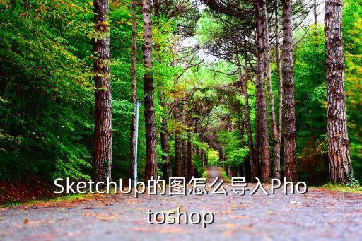 SketchUp的圖怎么導(dǎo)入Photoshop