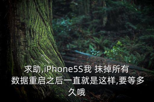 5s抹掉數(shù)據(jù)一直白蘋果,蘋果手機(jī)抹掉數(shù)據(jù)卡在白蘋果