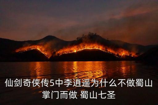 仙劍奇?zhèn)b傳5中李逍遙為什么不做蜀山掌門而做 蜀山七圣