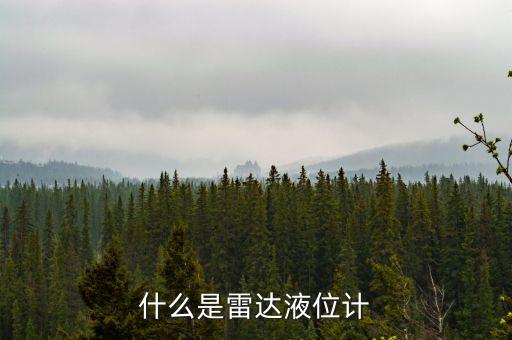什么是雷達(dá)液位計(jì)