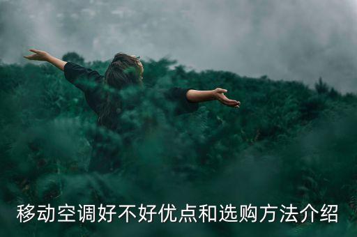 移動(dòng)空調(diào)好不好優(yōu)點(diǎn)和選購方法介紹