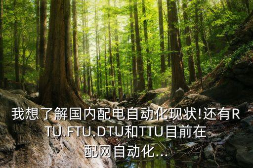 我想了解國(guó)內(nèi)配電自動(dòng)化現(xiàn)狀!還有RTU.FTU.DTU和TTU目前在配網(wǎng)自動(dòng)化...