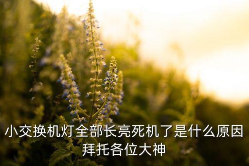 小交換機(jī)燈全部長(zhǎng)亮死機(jī)了是什么原因拜托各位大神