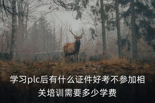 學(xué)習(xí)plc后有什么證件好考不參加相關(guān)培訓(xùn)需要多少學(xué)費