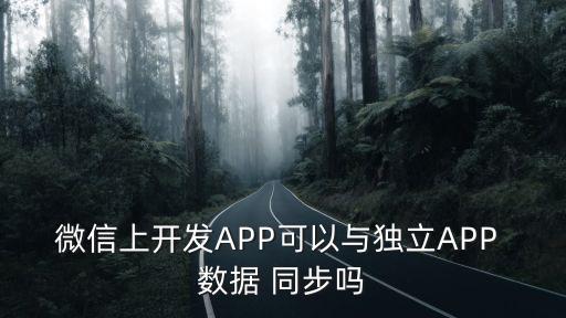 app離線數據同步,數據同步APP