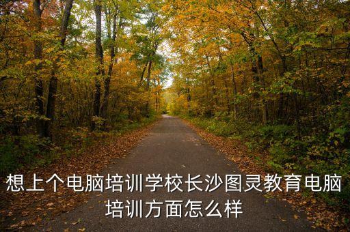 圖靈計算機，想上個電腦培訓學校長沙圖靈教育電腦培訓方面怎么樣