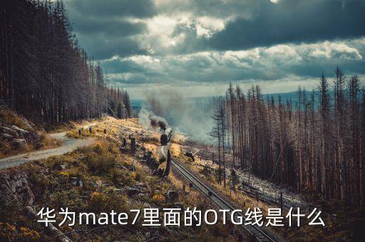 華為mate7里面的OTG線是什么