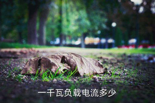 負(fù)載電流，什么是負(fù)載電流
