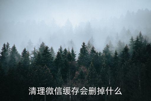 微信數(shù)據(jù)清理都是清理的什么,微信緩存清理什么內(nèi)容?