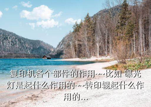 復(fù)印機(jī)各個(gè)部件的作用~~比如 曝光燈是起什么作用的~~轉(zhuǎn)印輥起什么作用的...