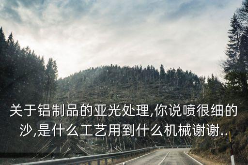 自動(dòng)化噴砂設(shè)備有哪些種類,一眾自動(dòng)化噴砂設(shè)備有限公司