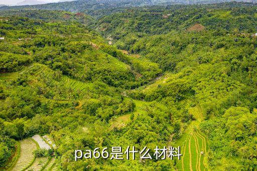 pa66是什么材料