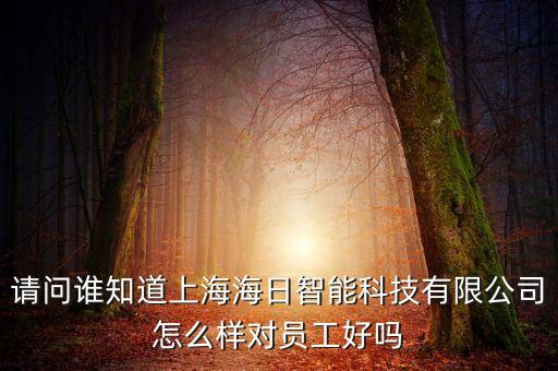 請問誰知道上海海日智能科技有限公司怎么樣對員工好嗎