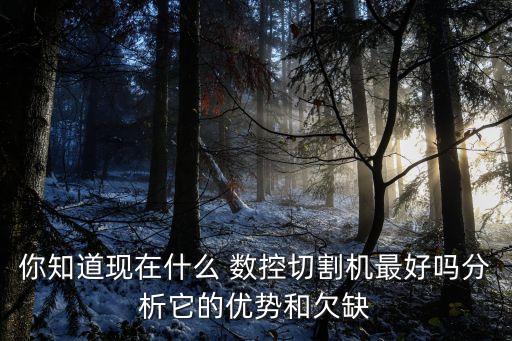 你知道現(xiàn)在什么 數(shù)控切割機最好嗎分析它的優(yōu)勢和欠缺