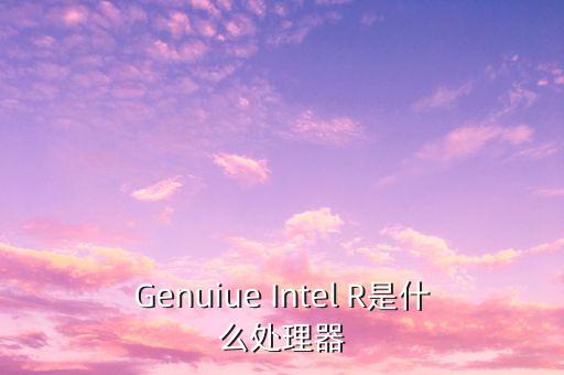 xr是什么處理器，Genuiue Intel R是什么處理器