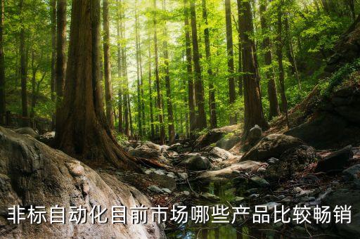 非標(biāo)自動(dòng)化目前市場(chǎng)哪些產(chǎn)品比較暢銷