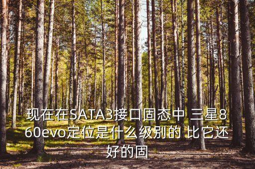 現(xiàn)在在SATA3接口固態(tài)中 三星860evo定位是什么級(jí)別的 比它還好的固