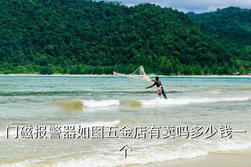 門磁報(bào)警器如圖五金店有賣嗎多少錢一個(gè)