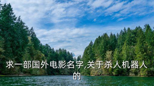 求一部國外電影名字,關于殺人機器人的