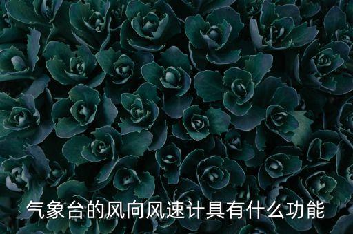 氣象臺的風(fēng)向風(fēng)速計具有什么功能