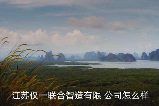  江蘇僅一聯(lián)合智造有限 公司怎么樣