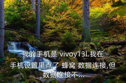 vivo蜂窩數(shù)據(jù)有什么用
