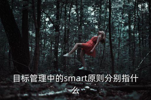 目標(biāo)管理中的smart原則分別指什么