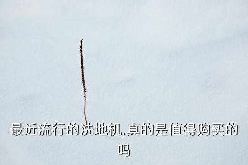 商場(chǎng)用清洗地板機(jī)器人,地板臟了可以直接用掃地機(jī)器人嗎?