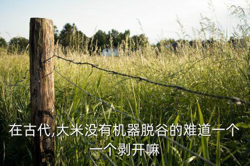 在古代,大米沒有機器脫谷的難道一個一個剝開嘛
