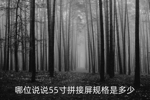 哪位說說55寸拼接屏規(guī)格是多少