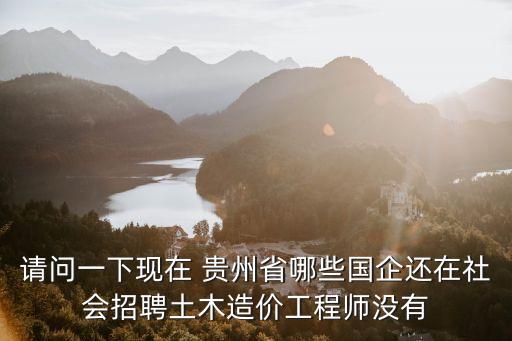 請問一下現(xiàn)在 貴州省哪些國企還在社會招聘土木造價工程師沒有