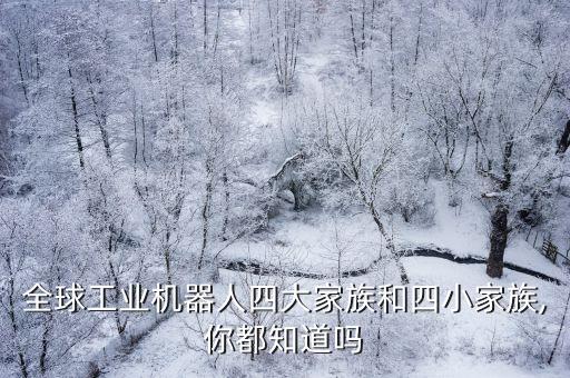 全球工業(yè)機(jī)器人四大家族和四小家族,你都知道嗎