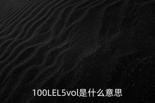 100LEL5vol是什么意思