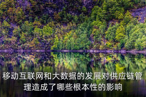 移動(dòng)互聯(lián)網(wǎng)和大數(shù)據(jù)的發(fā)展對(duì)供應(yīng)鏈管理造成了哪些根本性的影響