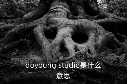 doyoung studio是什么意思