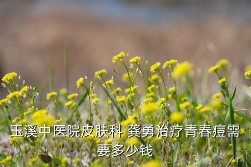 龔勇