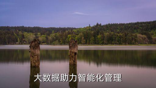 德國大數(shù)據(jù)云計算,大數(shù)據(jù)和云計算開啟互聯(lián)網時代