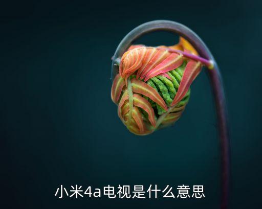 小米4a電視，小米電視4a怎樣使用