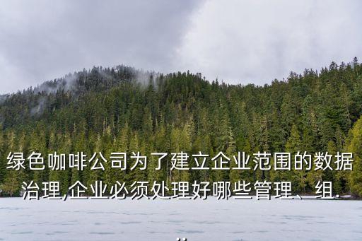 綠色咖啡公司為了建立企業(yè)范圍的數(shù)據(jù)治理,企業(yè)必須處理好哪些管理、組...