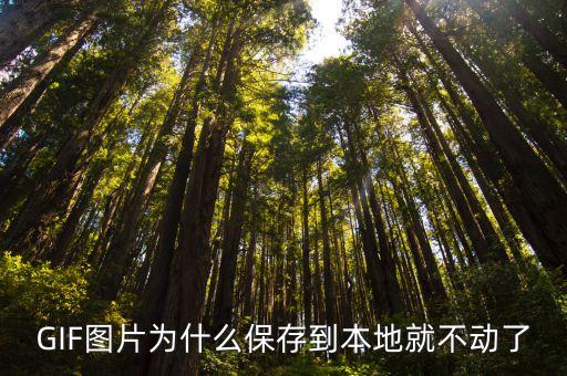 該gif圖數(shù)據(jù)異常,這些gif格式圖片怎么做?