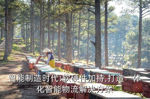 智能制造時(shí)代:軟硬件加持,打造一體化智能物流解決方案